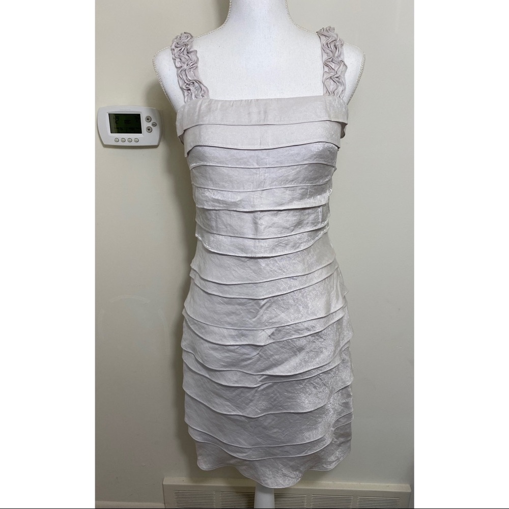 Sangria Shimmery Ruffled Dress Sz 6